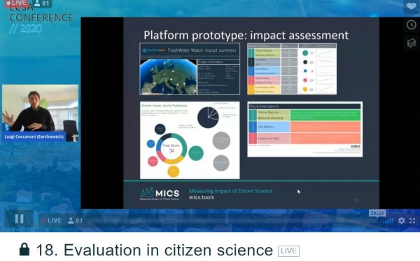 MICS @ ECSA conference 2020